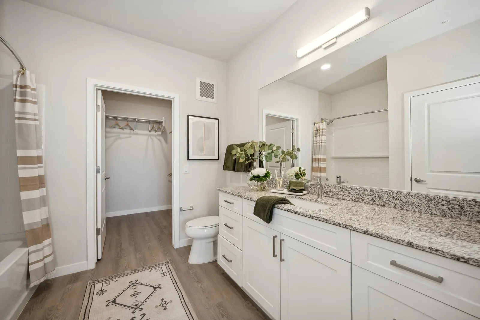 Bright bathroom with granite vanity, white cabinets, mirror, toilet, and open closet beyond.
