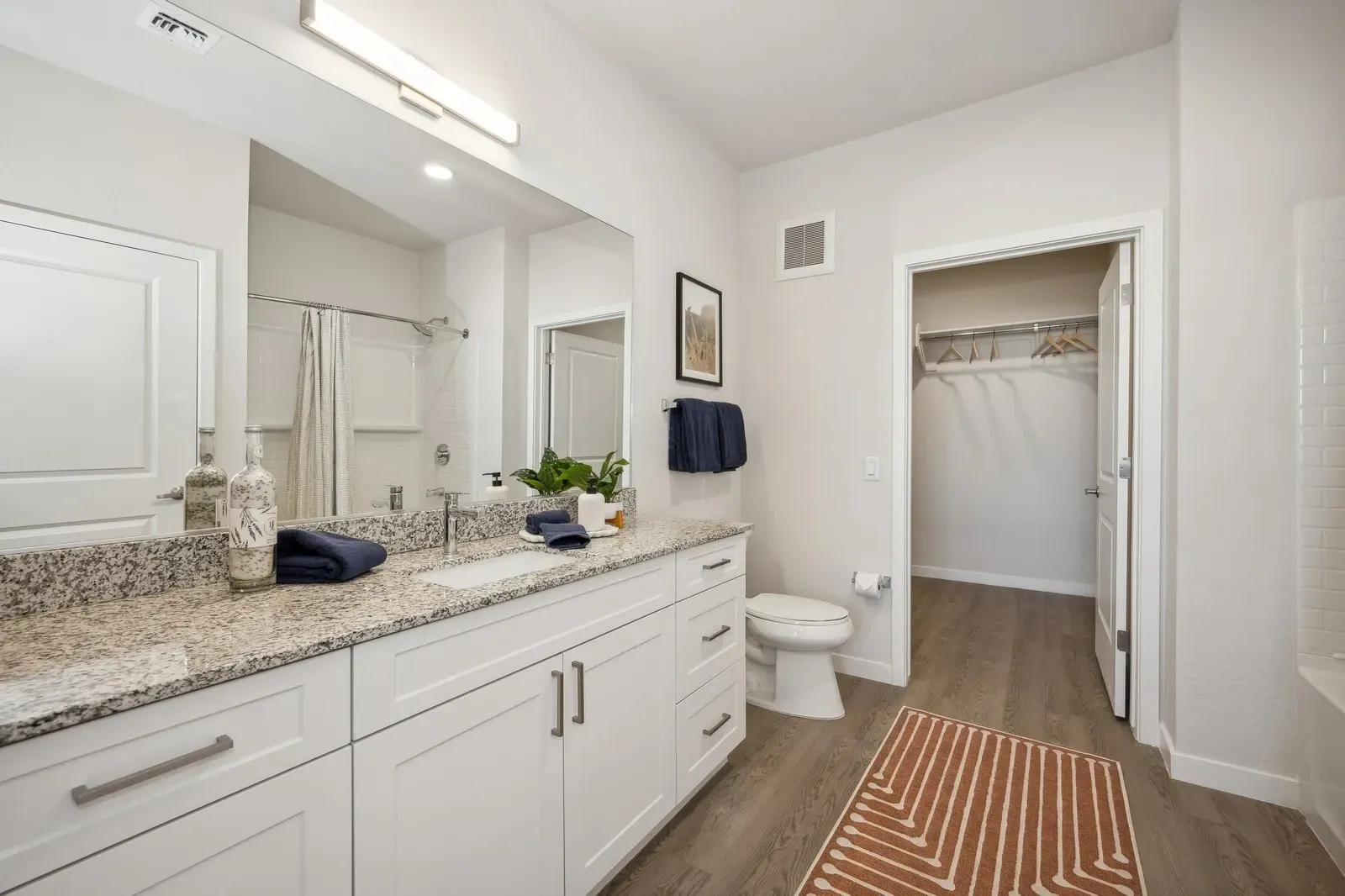 Bright bathroom vanity with granite counter, mirror, toilet, and open closet with hanging clothes and striped rug.