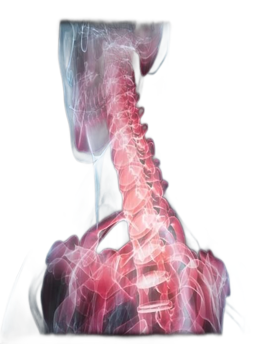Upper Cervical Chiropractic Care - Atlas Clinics