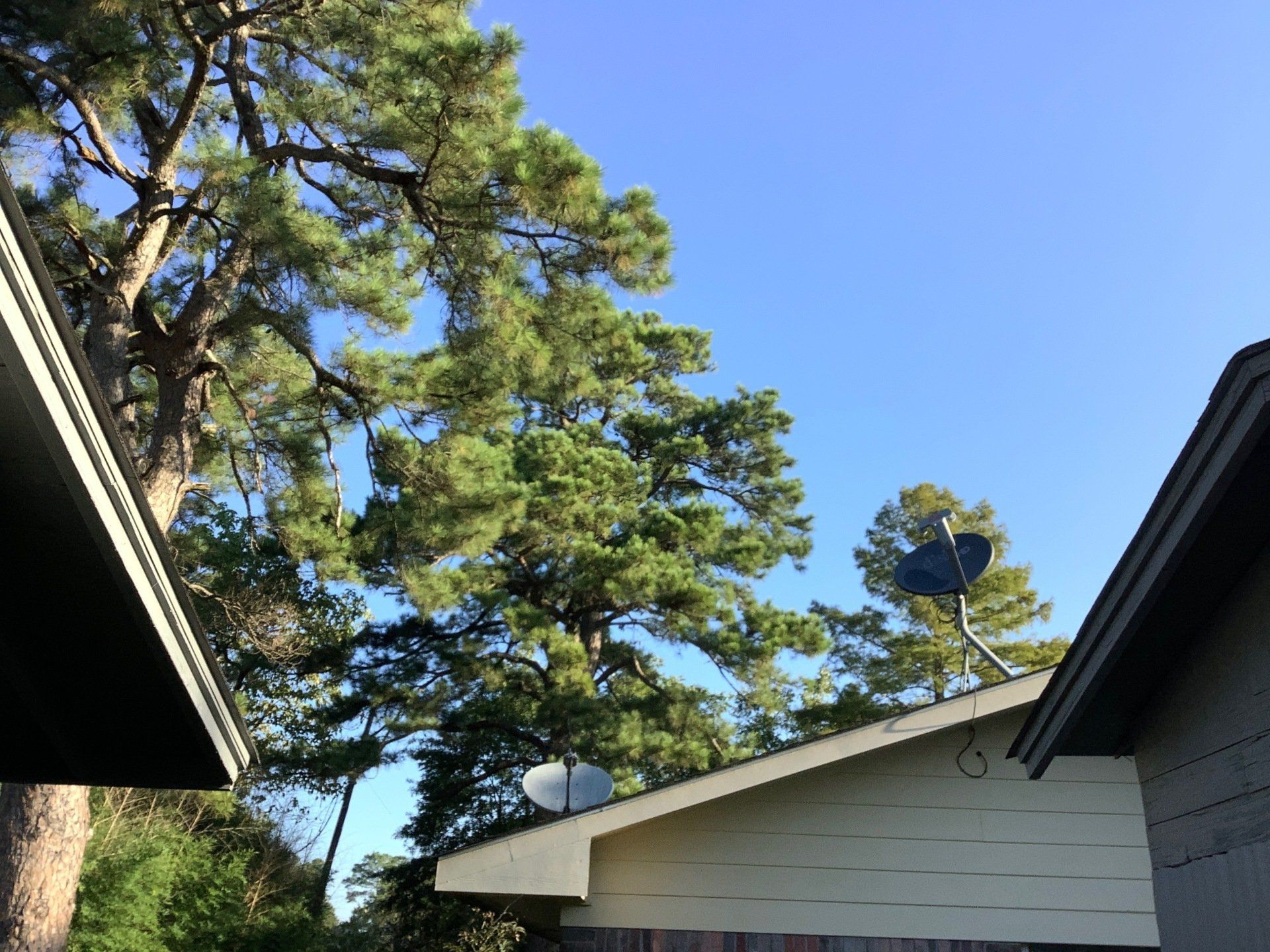 Roof And Trees — Texarkana, TX — Twin City Home Inspections Inc.