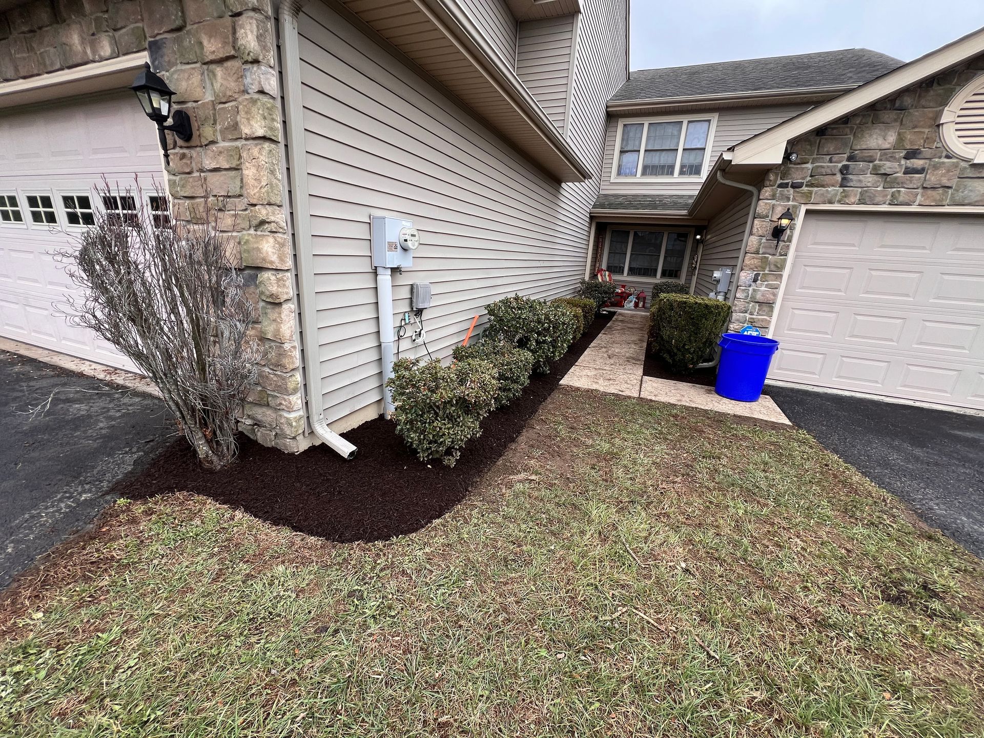 hedge trimming