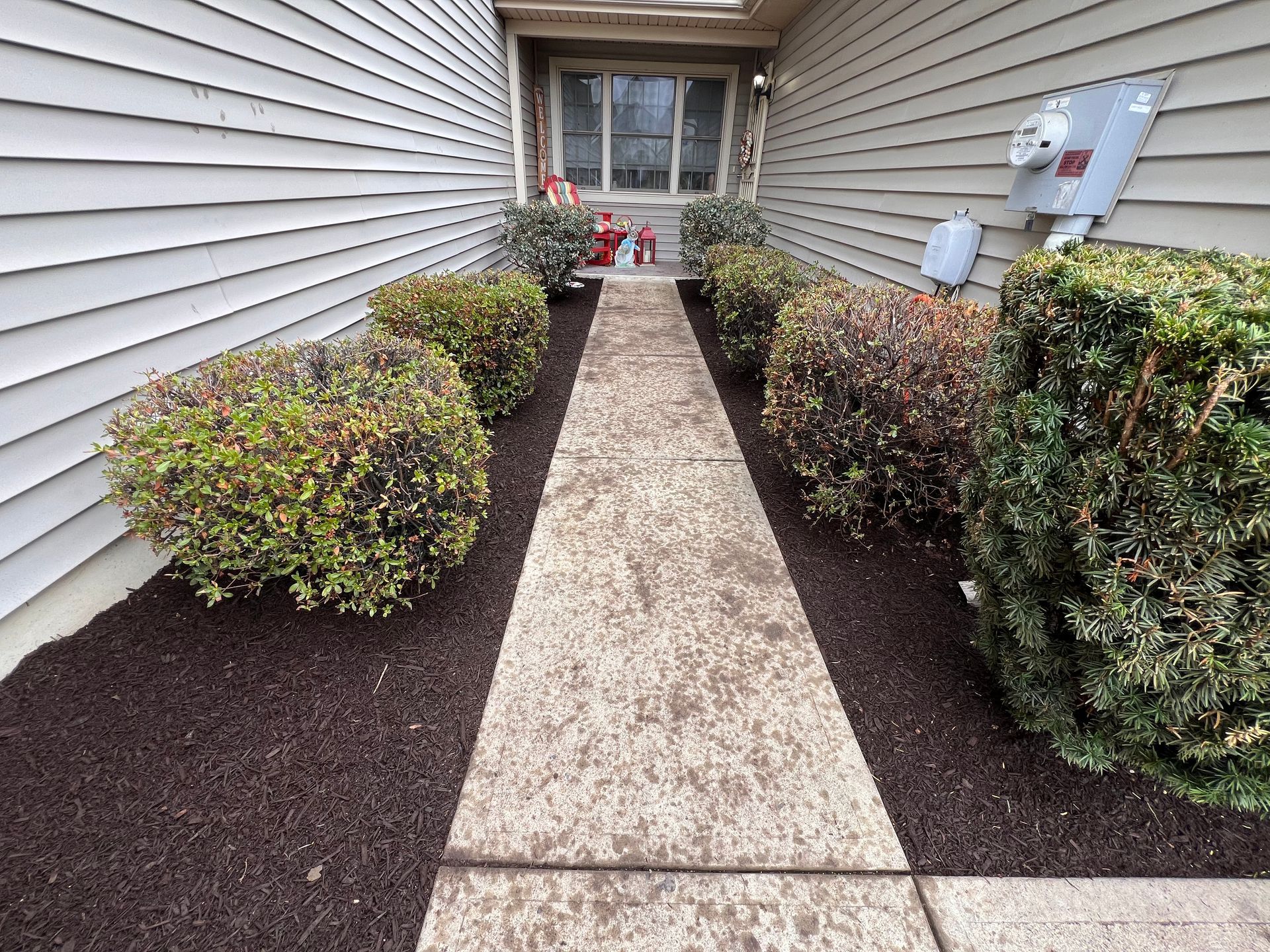 Bush & Flower Planting
