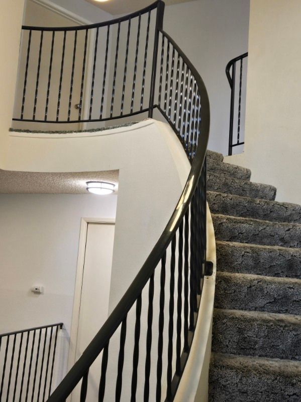 A spiral staircase with a black railing and carpeted steps