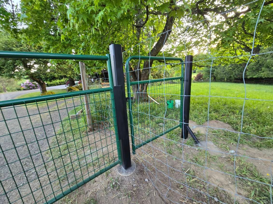 A green fence with a black gate is surrounded by grass and trees.