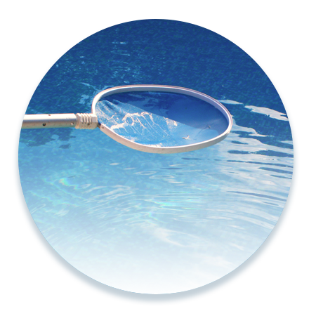 Pool Maintenance | Sky Blue Pools - Deer Park, NY