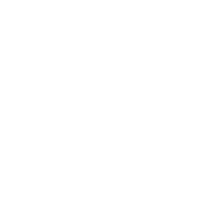 Curly Hair Studio | Rooted Alchemy Hair Studio | Oak Lawn, IL