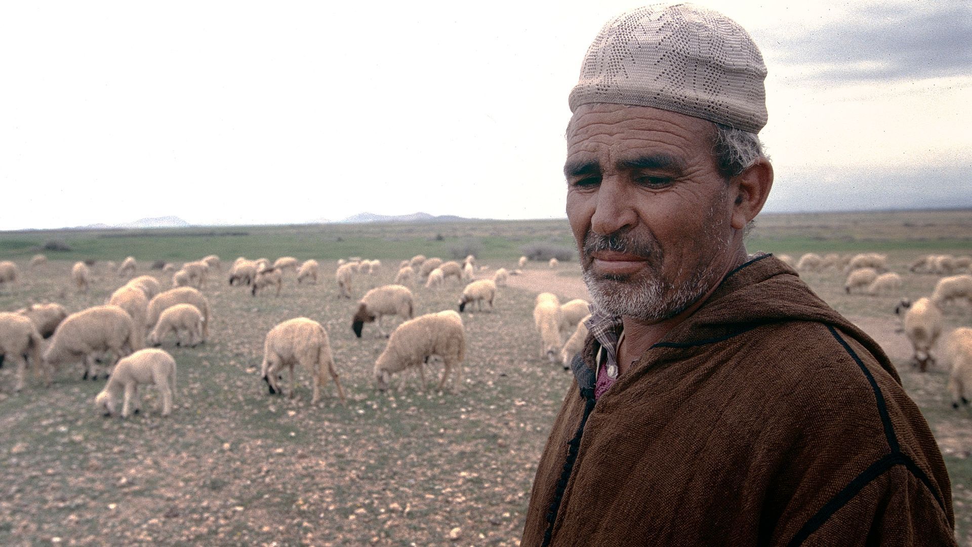 A group of people are sitting on a bus looking out the windows
