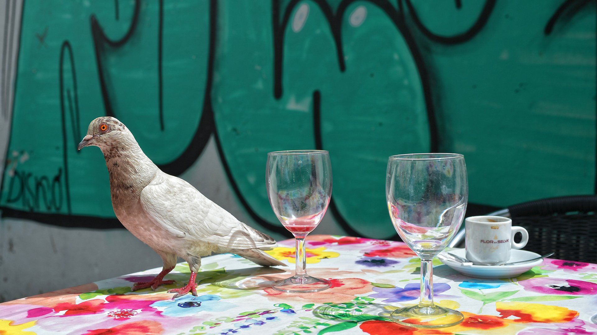 A pigeon is sitting on a table with wine glasses and a cup of coffee