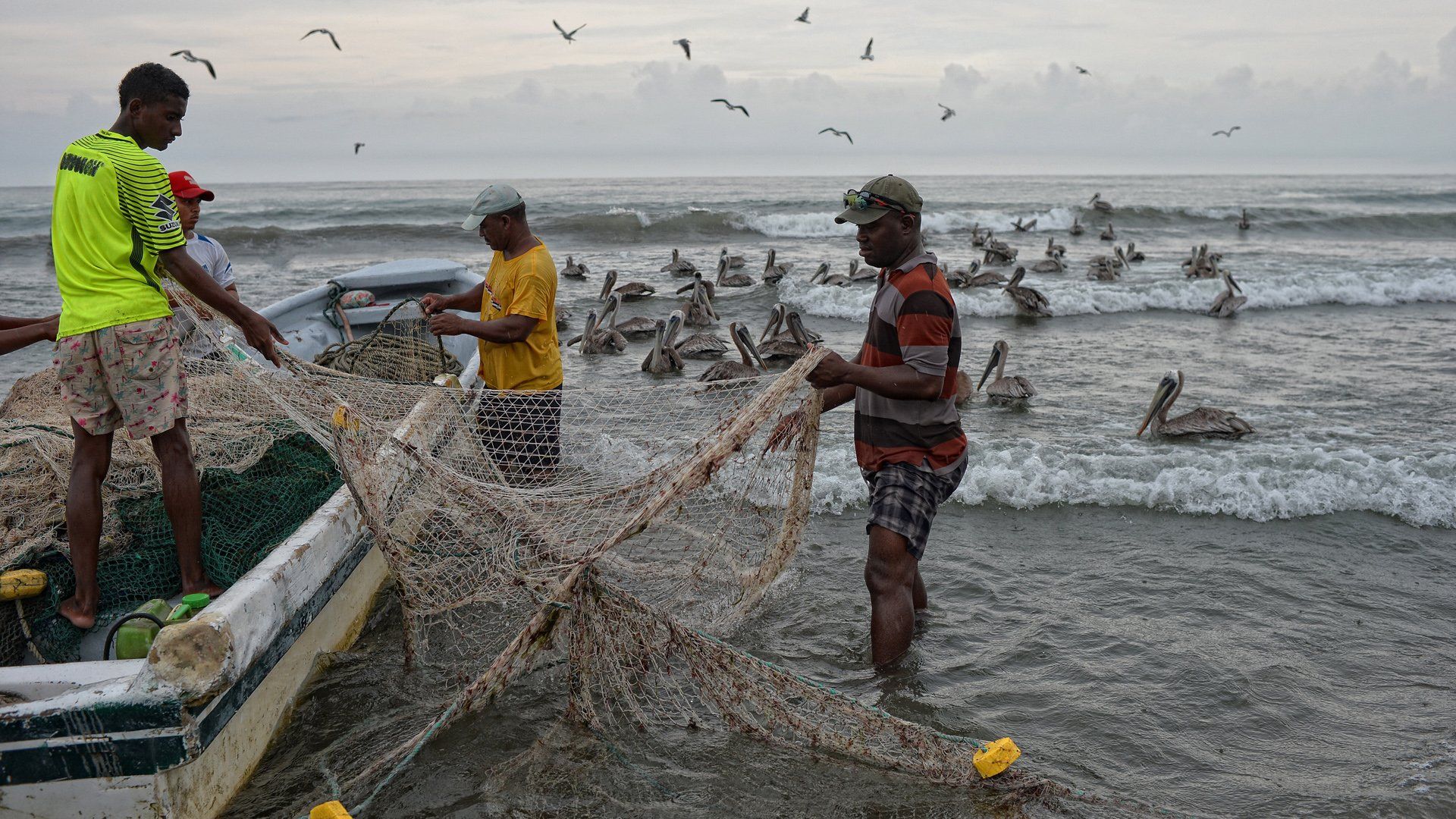 A group of men are fishing in the ocean.