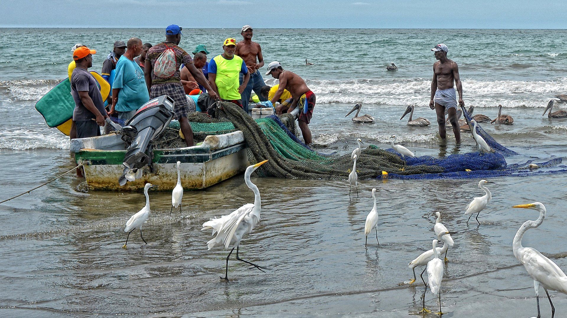 A group of people in a boat on a beach surrounded by birds