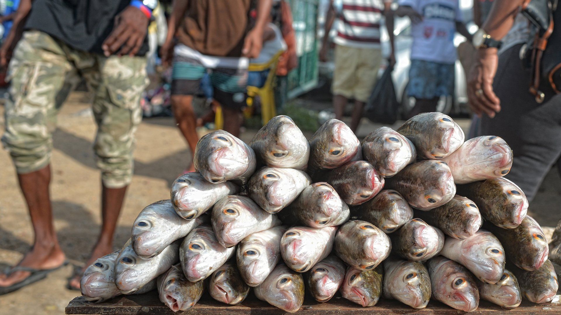 A bunch of fish are stacked on top of each other on a table.