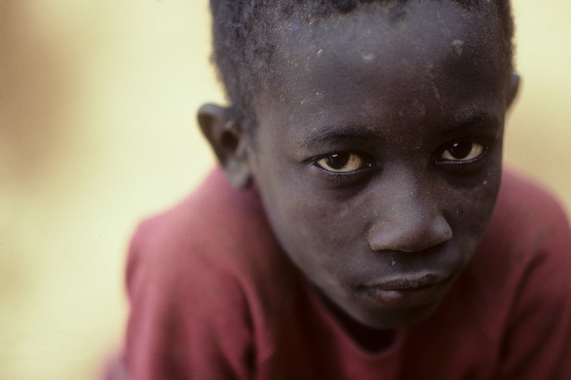 A young boy in a red shirt is looking at the camera.