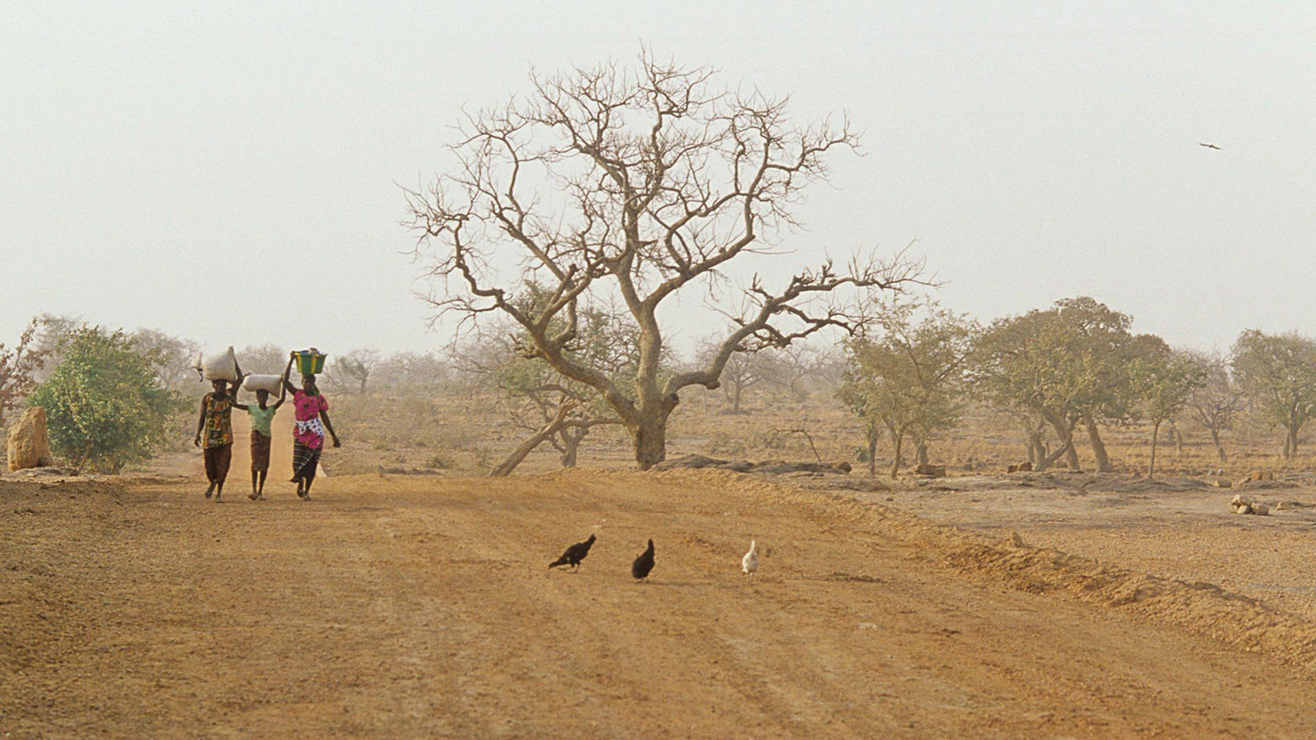 A group of people are walking down a dirt road in the desert.