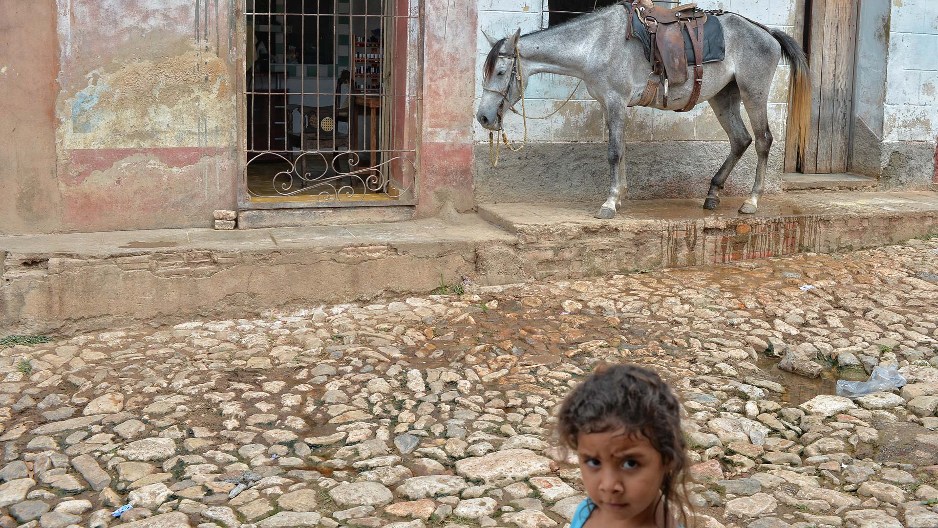 A little girl is standing in front of a horse on a cobblestone street.