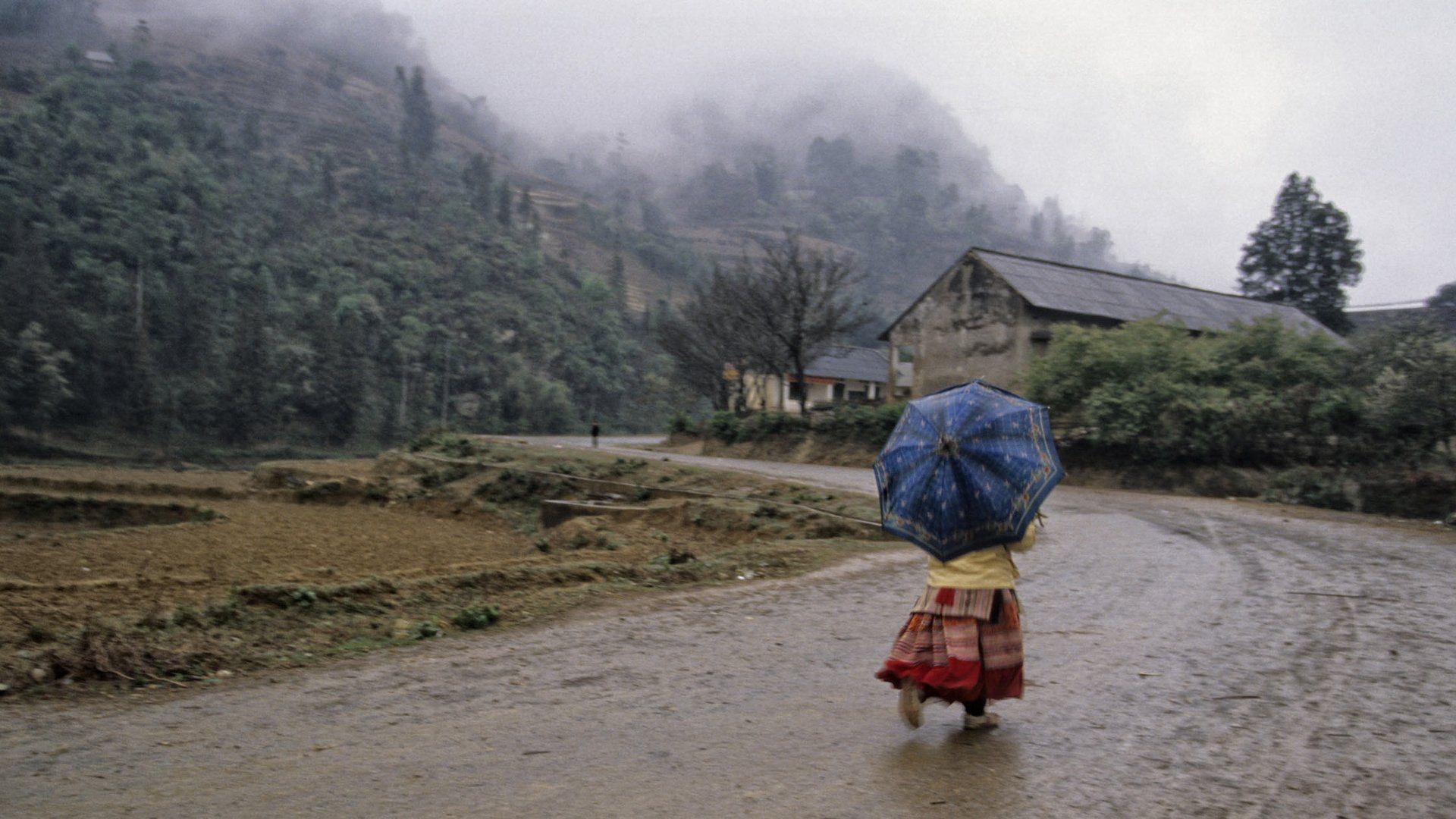 A person is walking down a road with an umbrella in the rain.