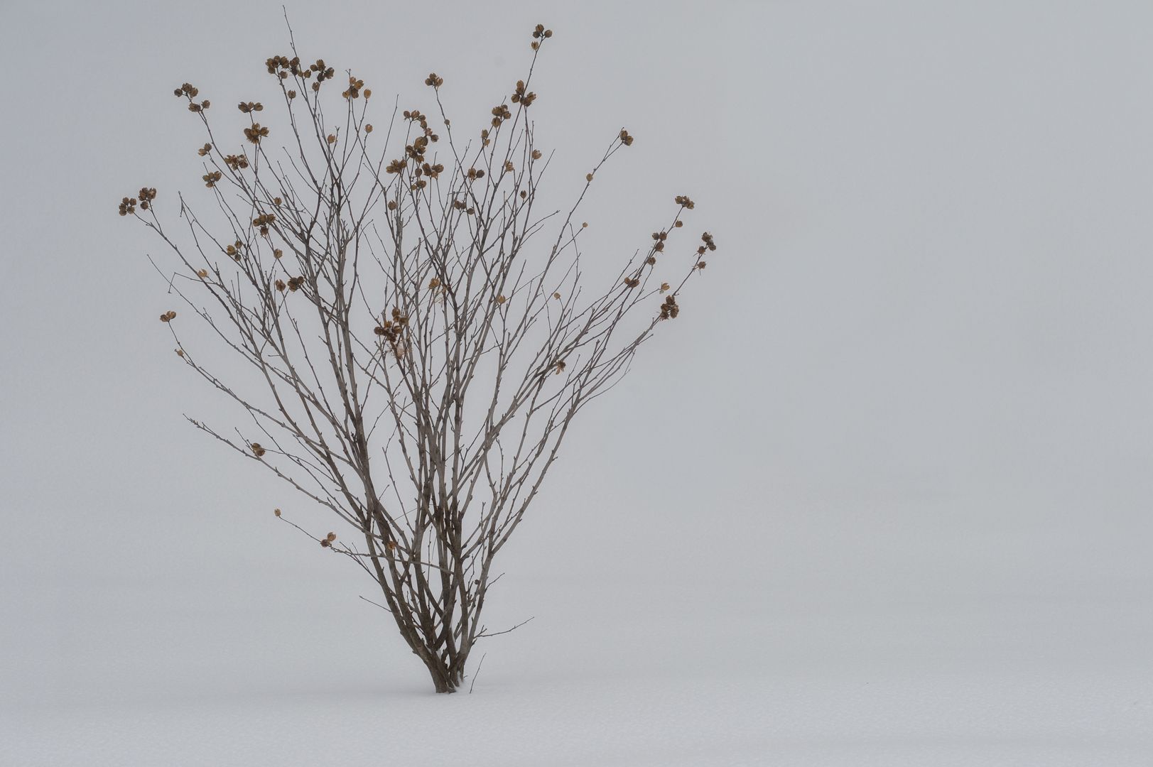 A large body of water with waves crashing on the shore on a cloudy day.