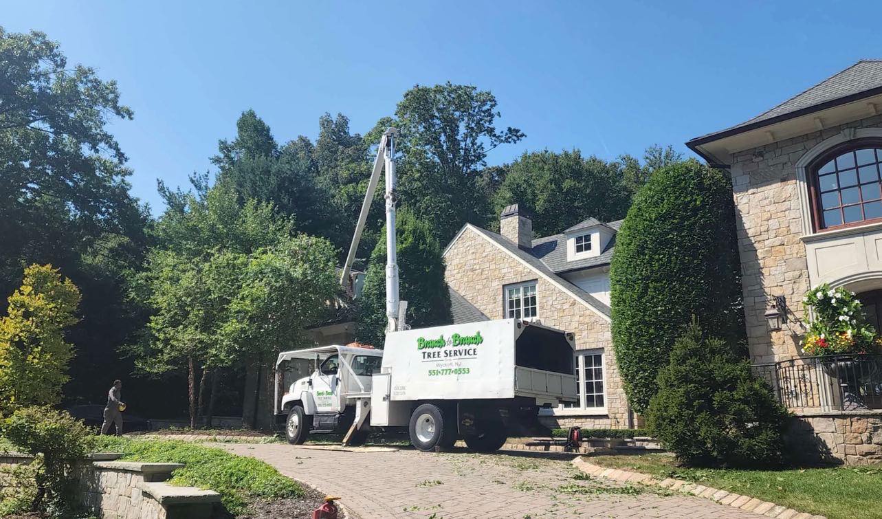 Complete tree service Wyckoff, NJ