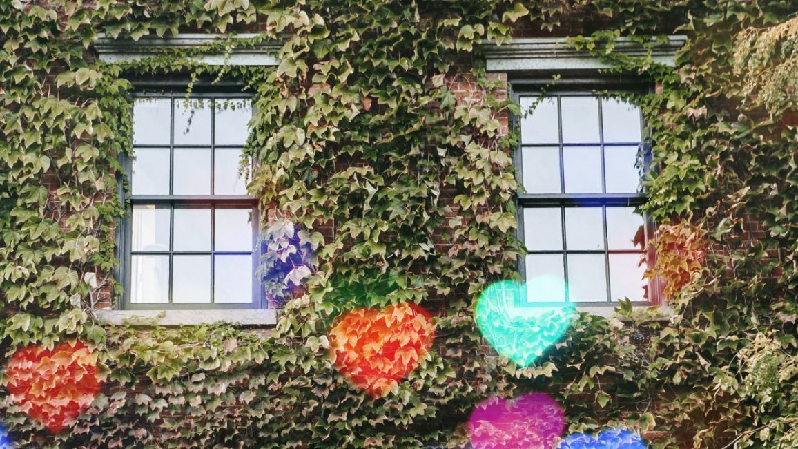 a building with two windows covered in ivy and flowers .