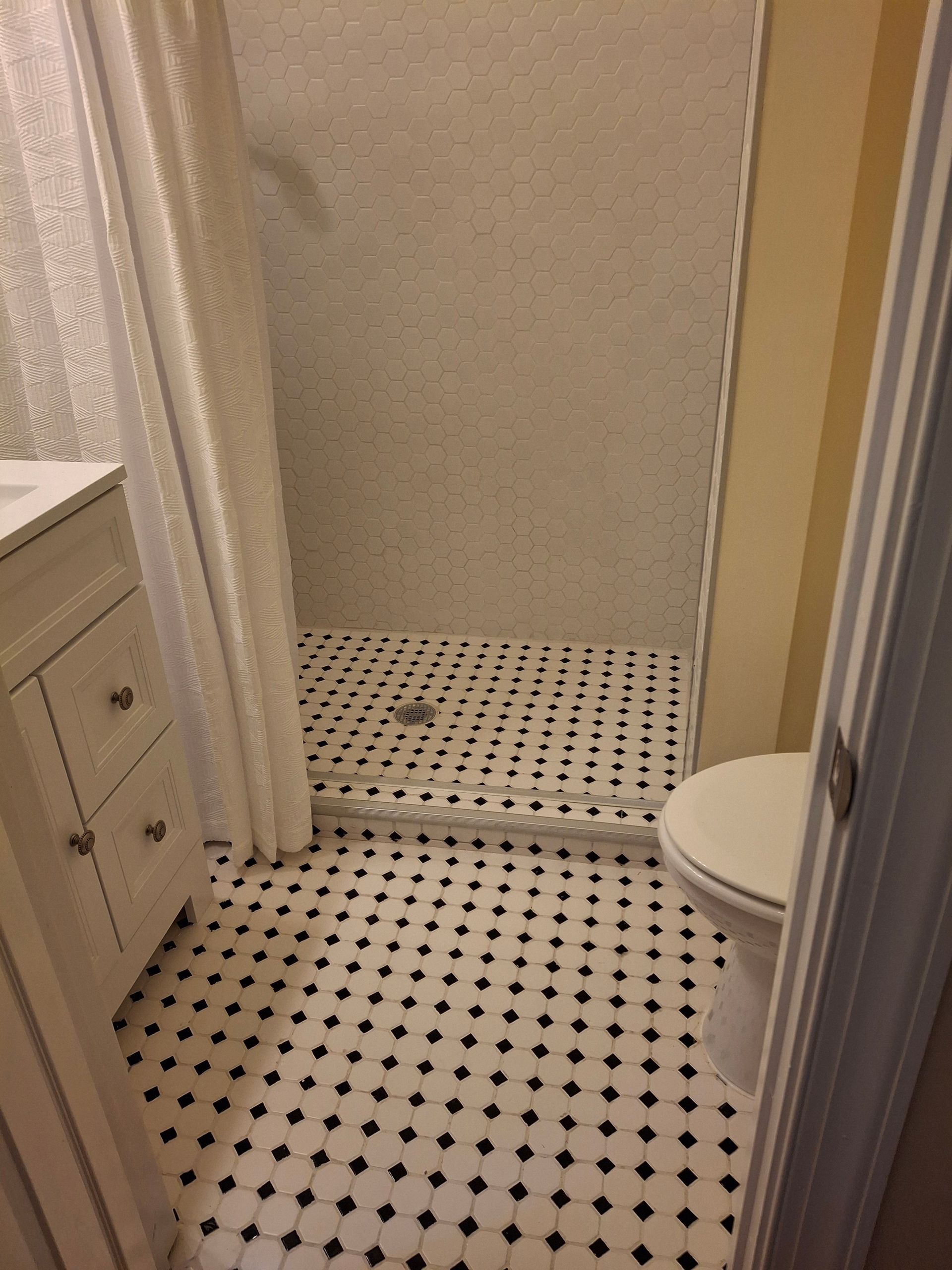 A bathroom with a walk in shower and a toilet.