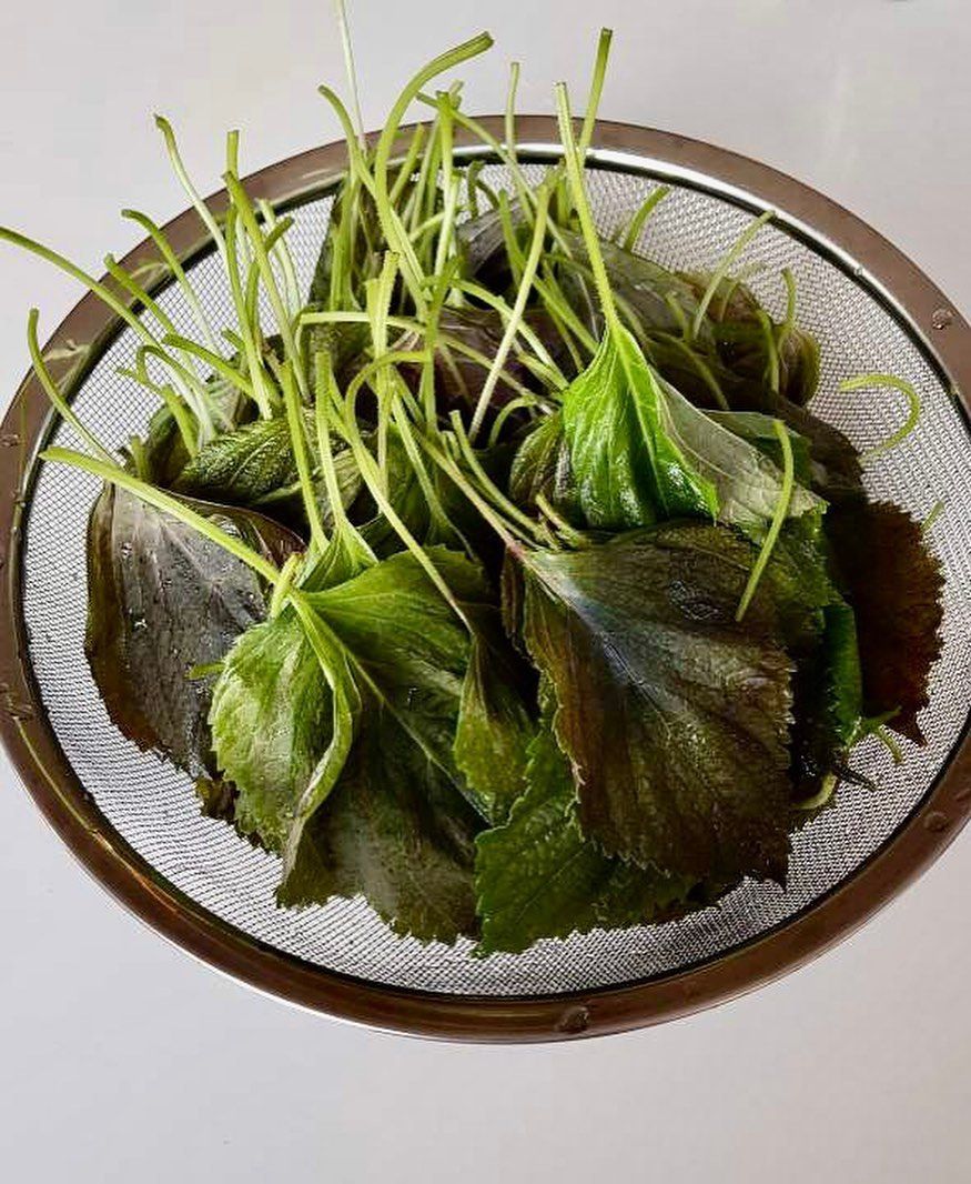 A bowl of green leaves is sitting on a table.