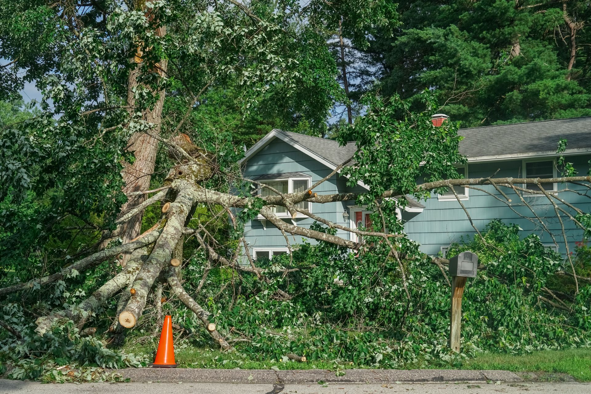 Fallen tree branches block a suburban street in front of a house, with an orange cone nearby.