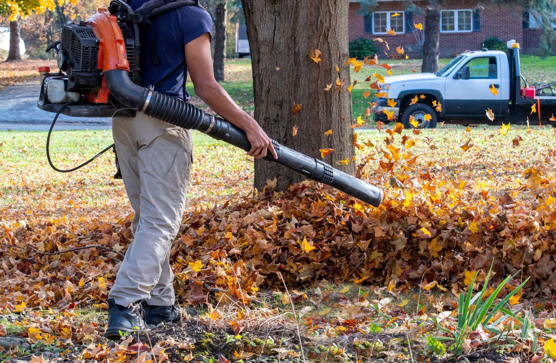 Worker using a leaf blower to clear autumn leaves near a tree and parked truck.