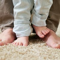 Adult and Child Feet on Carpet — Carpet in Sacramento, CA