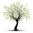 Treetop Urban Gardens & Associates