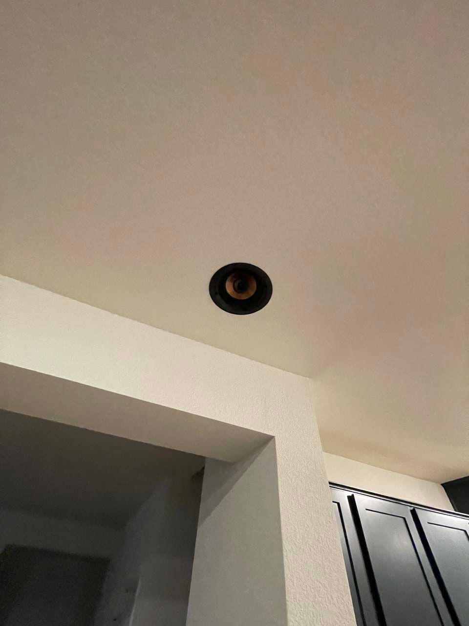 A black light fixture is hanging from the ceiling of a room.