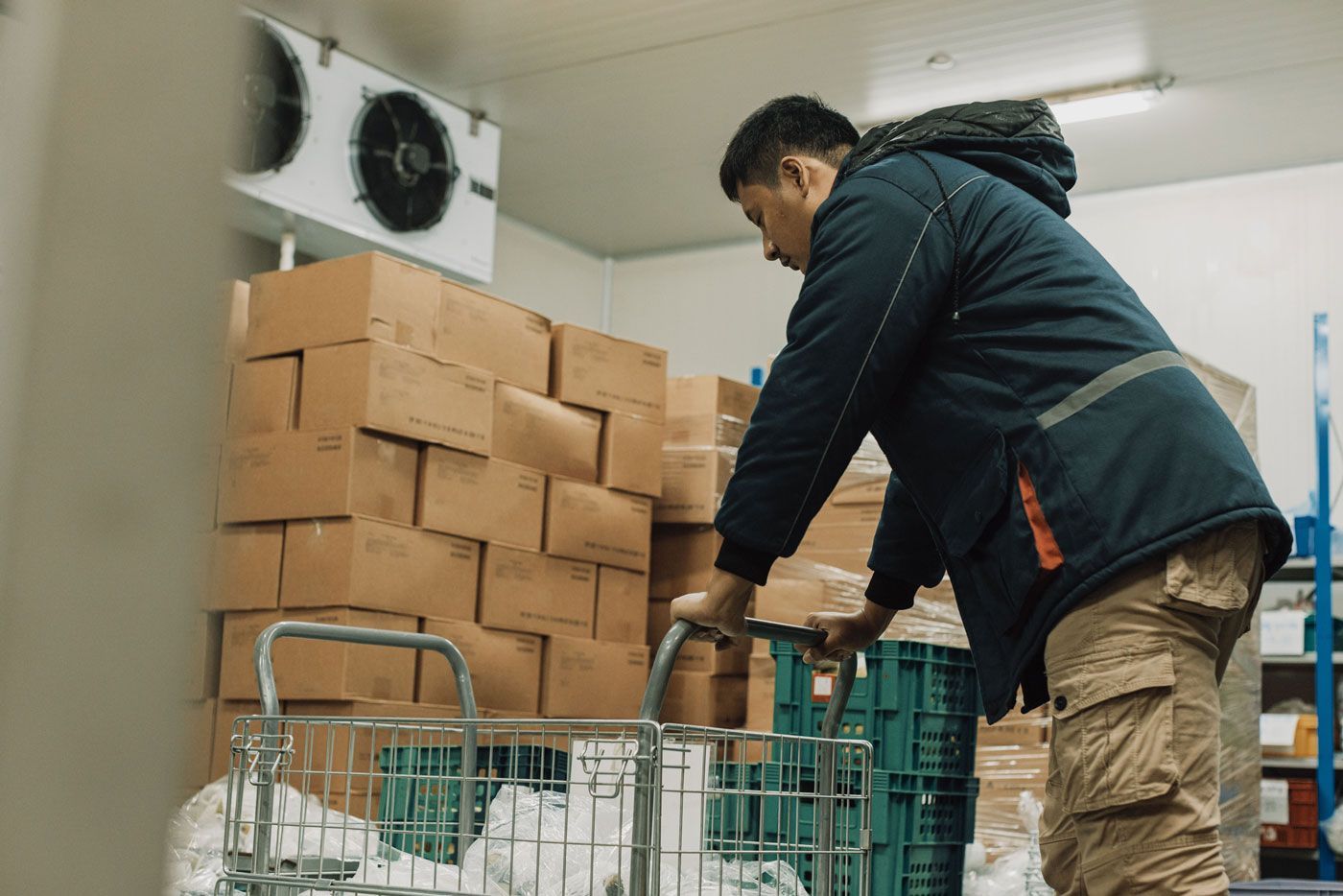 Man stocking a trolley inside cold storage room