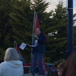 A woman is standing on a stage holding a microphone and a flag.