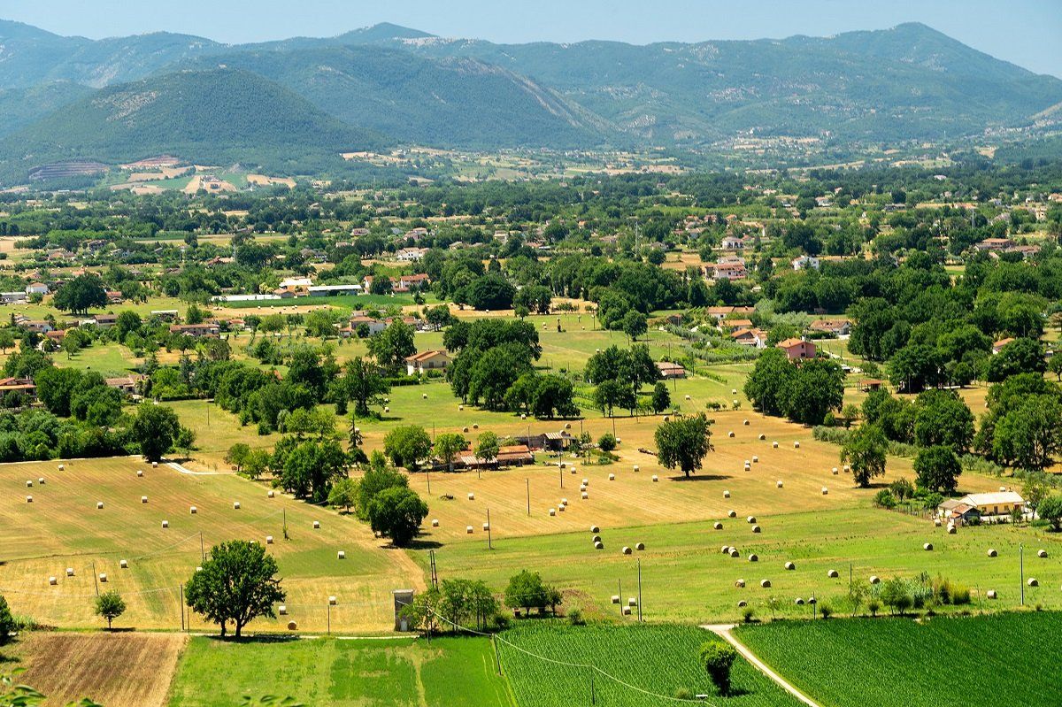 verde intorno all'albergo