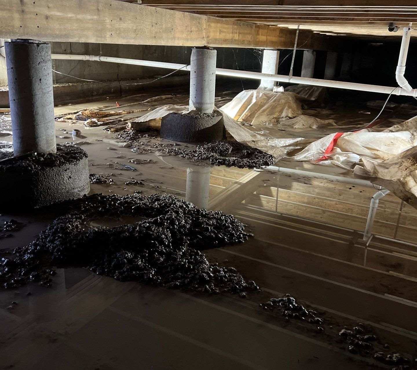 Flooded crawlspace under a house with dark debris around concrete support pillars.