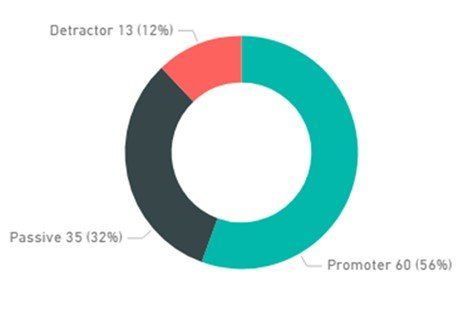 Example pie graph showing results from net promoter detractor, passive and promoter values.