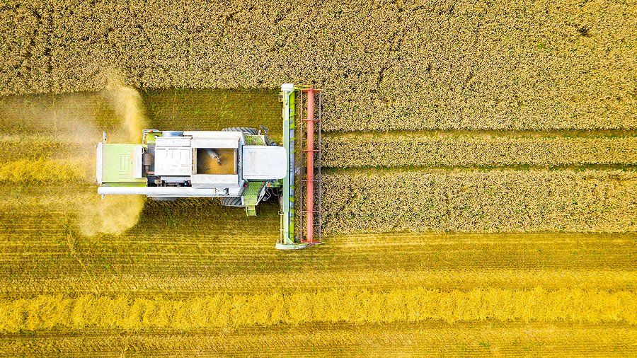 Aerial view of combine harvester on wheat field. Agriculture and carbon footprint theme.