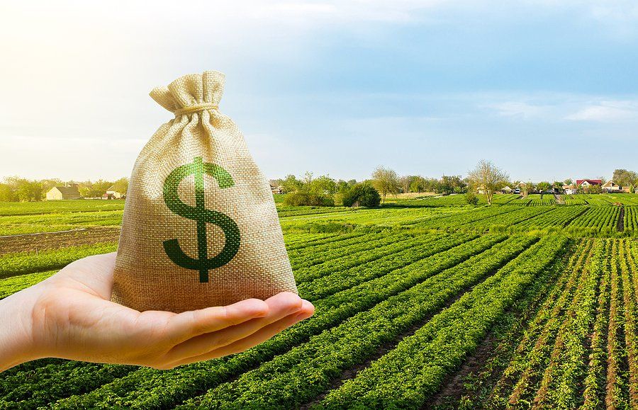 Dollar Money Bag On Farm Field.