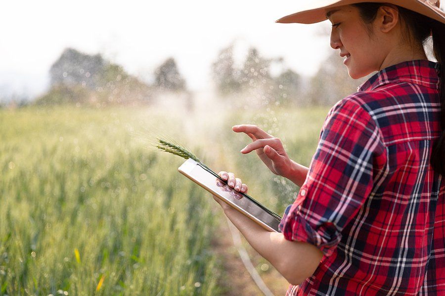 Managing the agribusiness through technology. Woman out on the land holding an ipad.