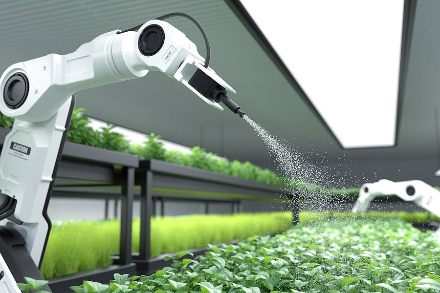 Smart robotic farmer spraying fertilizer on vegetable green plants, Agriculture technology, Farm automation.