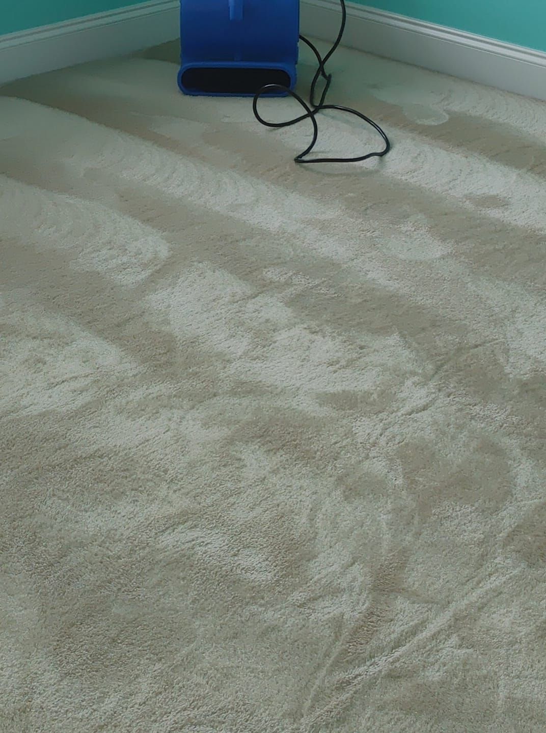 A vacuum cleaner is sitting on a carpeted floor in a room.
