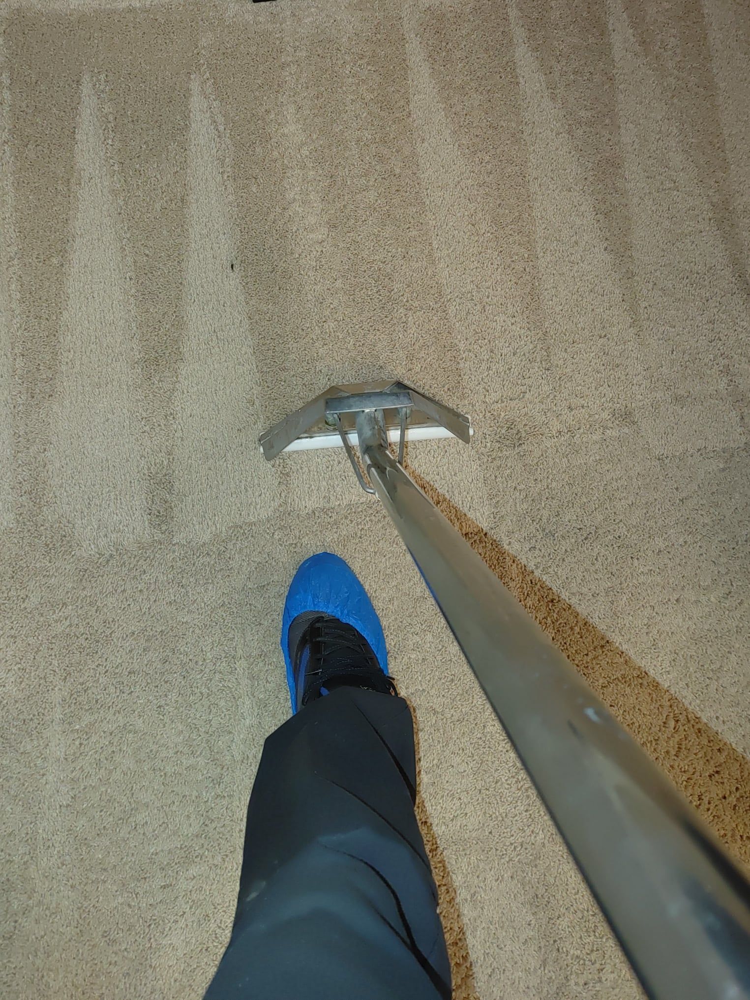 A person is cleaning a carpet with a vacuum cleaner