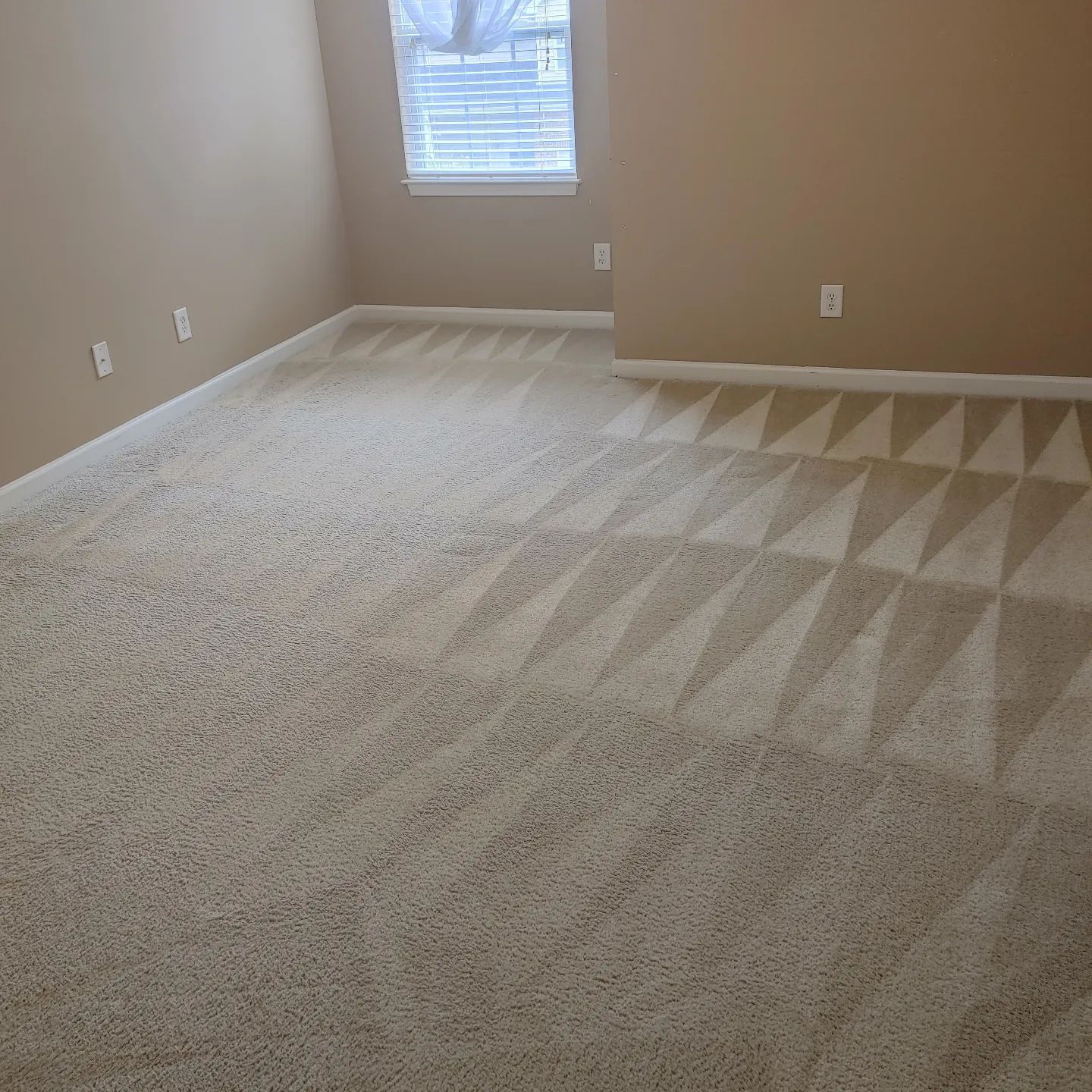A bedroom with a carpeted floor and a window.