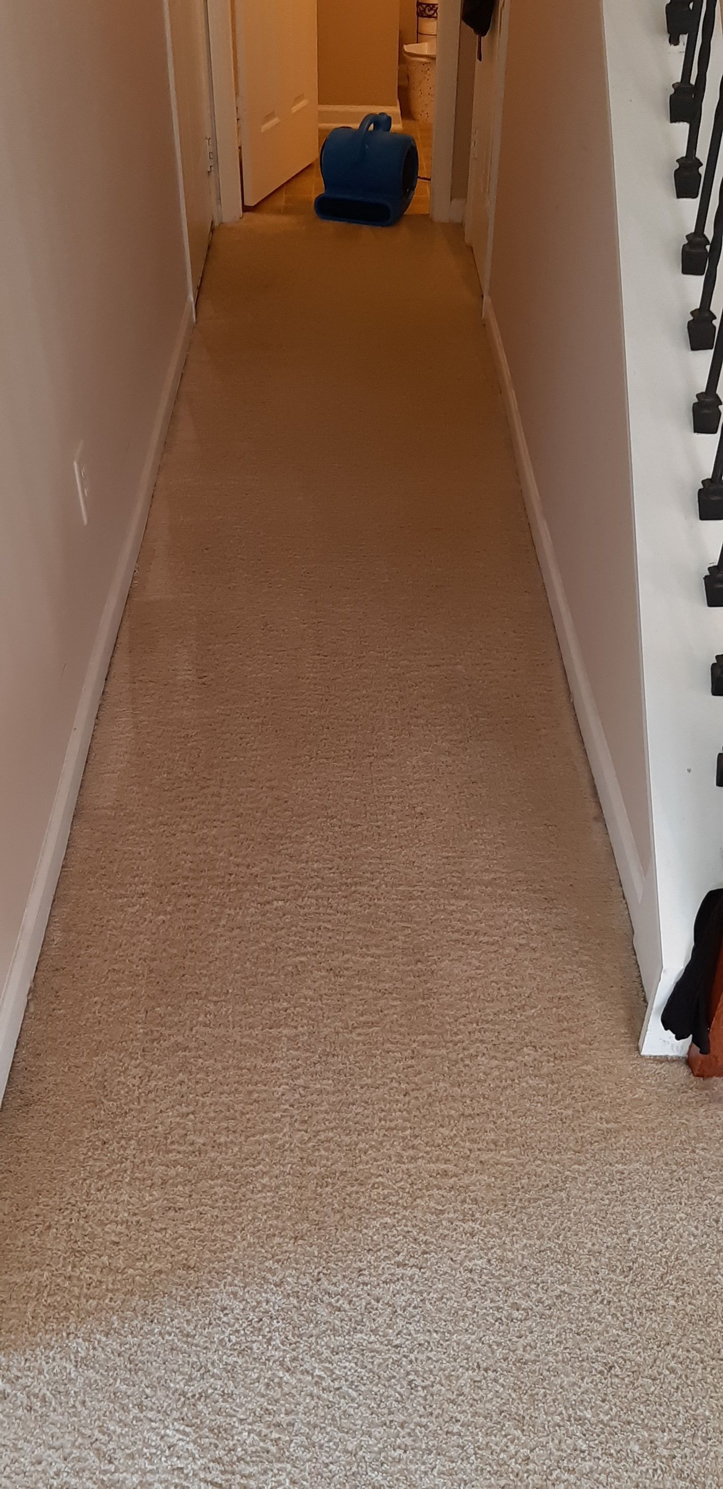 A long hallway with a carpeted floor and a blue bag on the floor.
