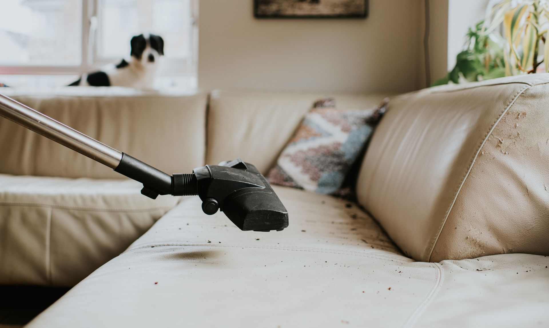 A vacuum cleaner is being used to clean a couch in a living room.