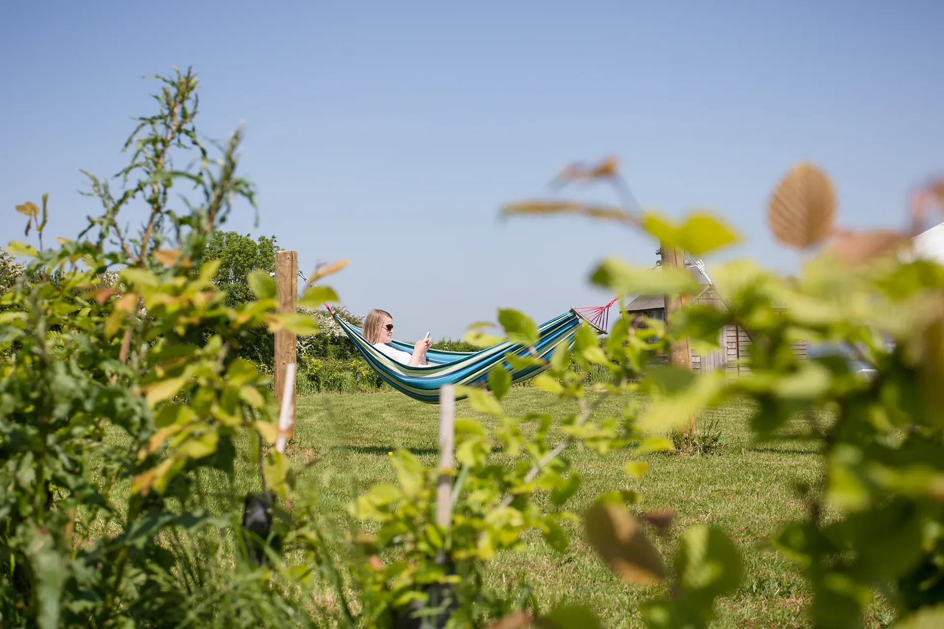 A person is laying in a hammock in a field.