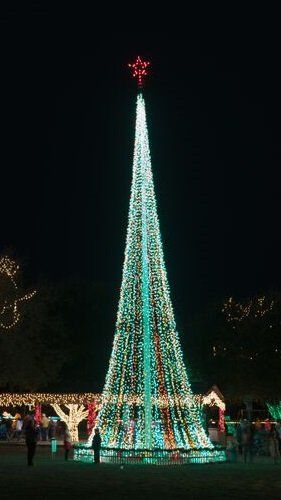 Tall Christmas tree lit with green and white lights, topped with a red star, at night.