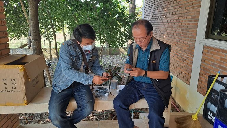 Solar-Messenger-distributions