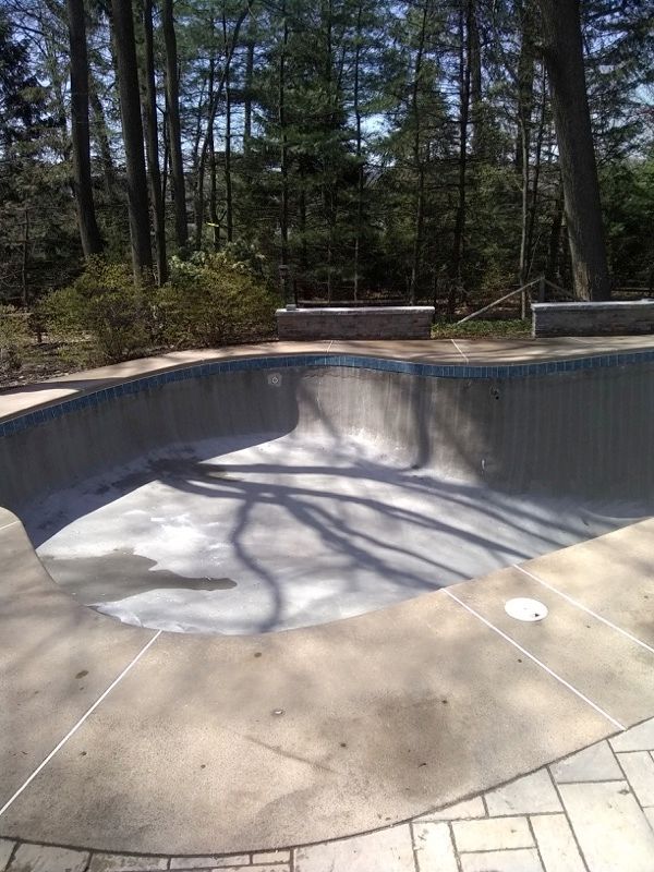 A large swimming pool is surrounded by trees on a sunny day.