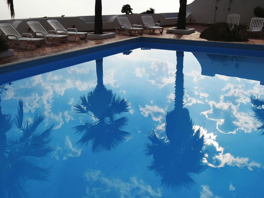 A swimming pool with palm trees reflected in the water