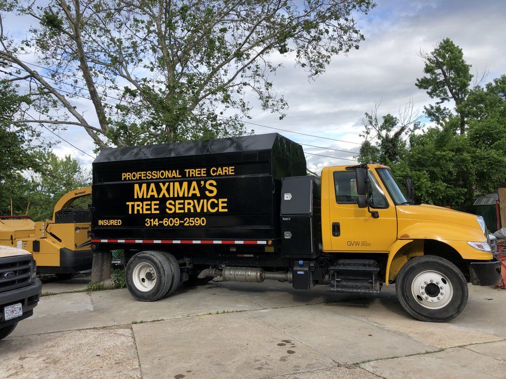Truck — St. Louis, MO — Maxima's Tree Service LLC