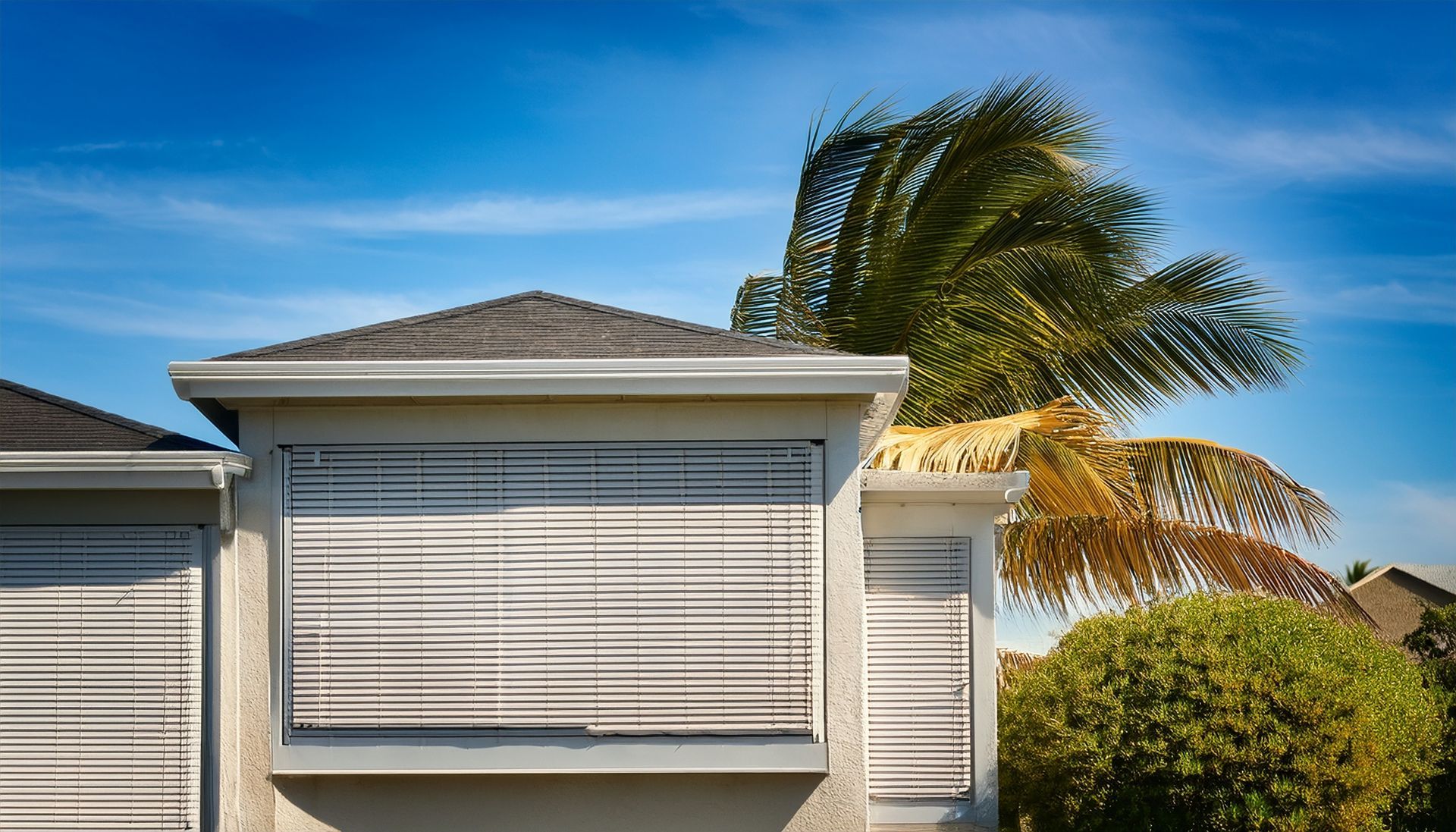 Secured hurricane shutters with swaying palm trees.
